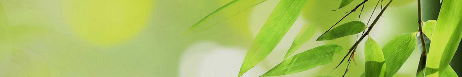 TOP BANNER 7